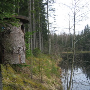 ympäristökysymys monimuotoisuus uumo