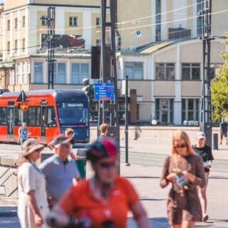 Suomen kasvu